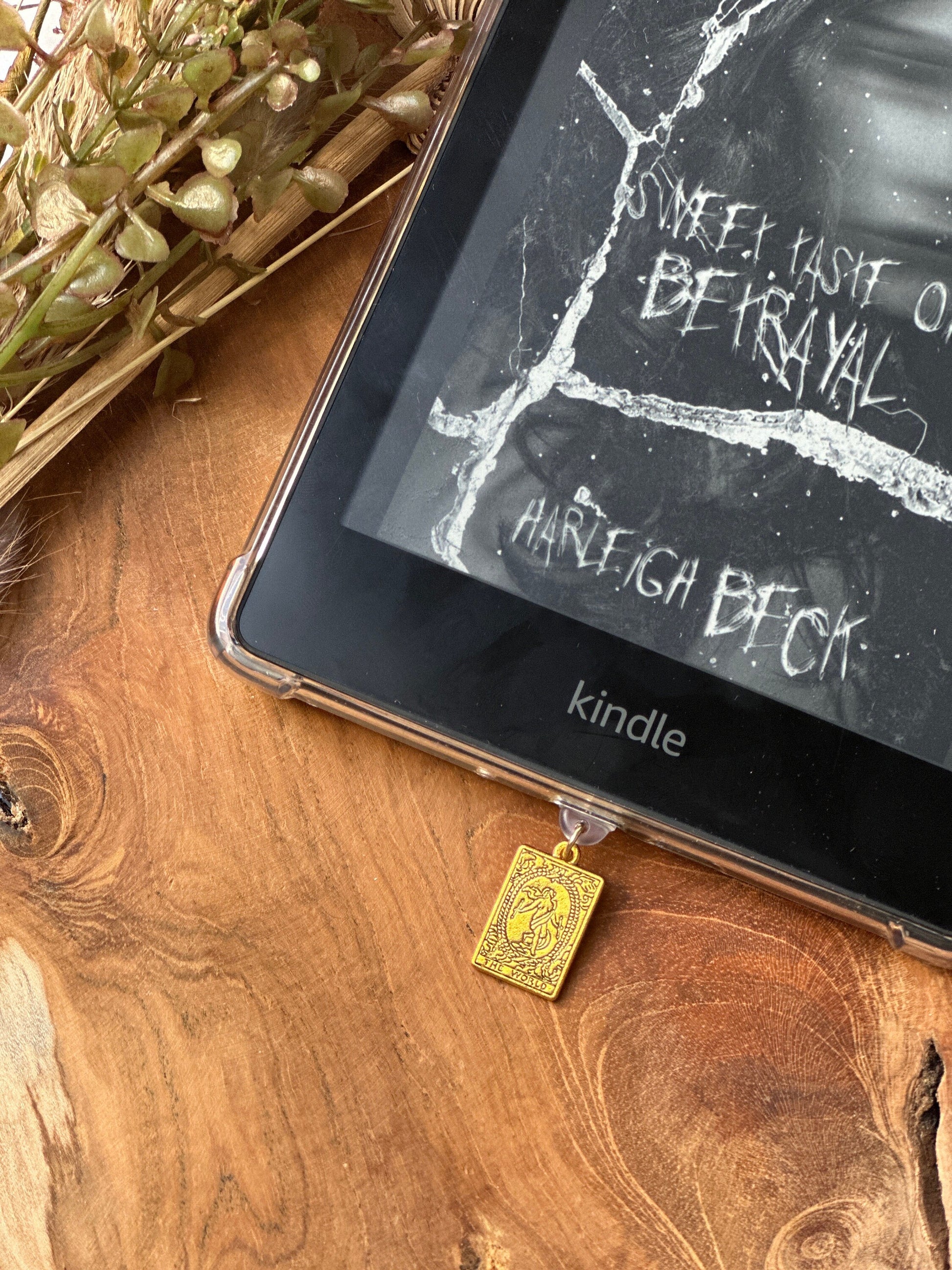 Kindle-bedel tarot cards | Bookish | kindlecharm | Boekachtig cadeau | Kindle-accessoires | kindleaccessoires | USB-C-stekker | gift